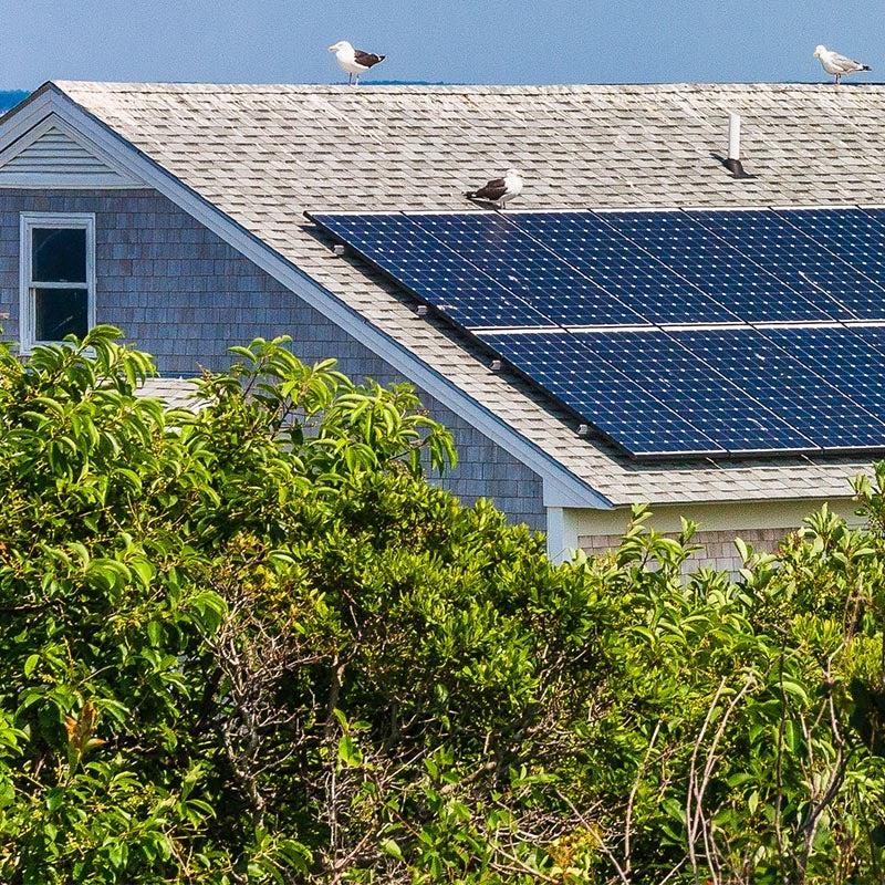 roof top solar panels with vegetation in the foreground